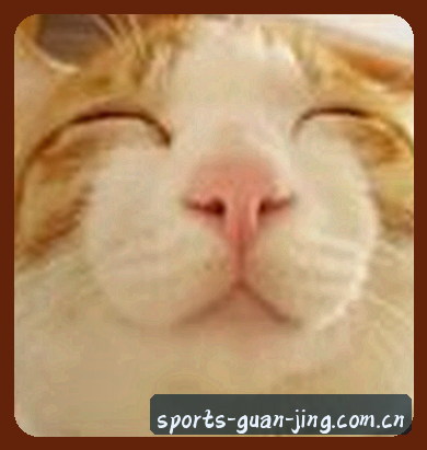 孙悦